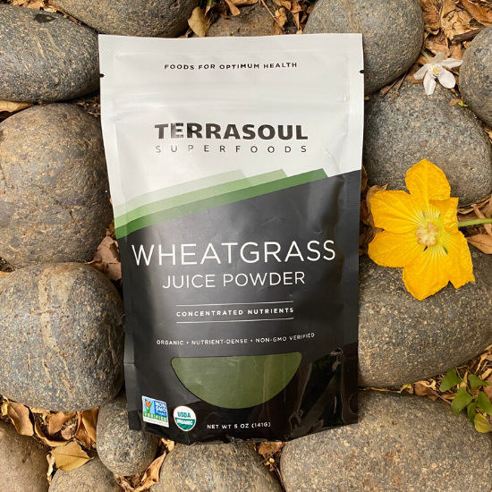 Bột cỏ lúa mì wheatgrass terrasoul hữu cơ 141g
