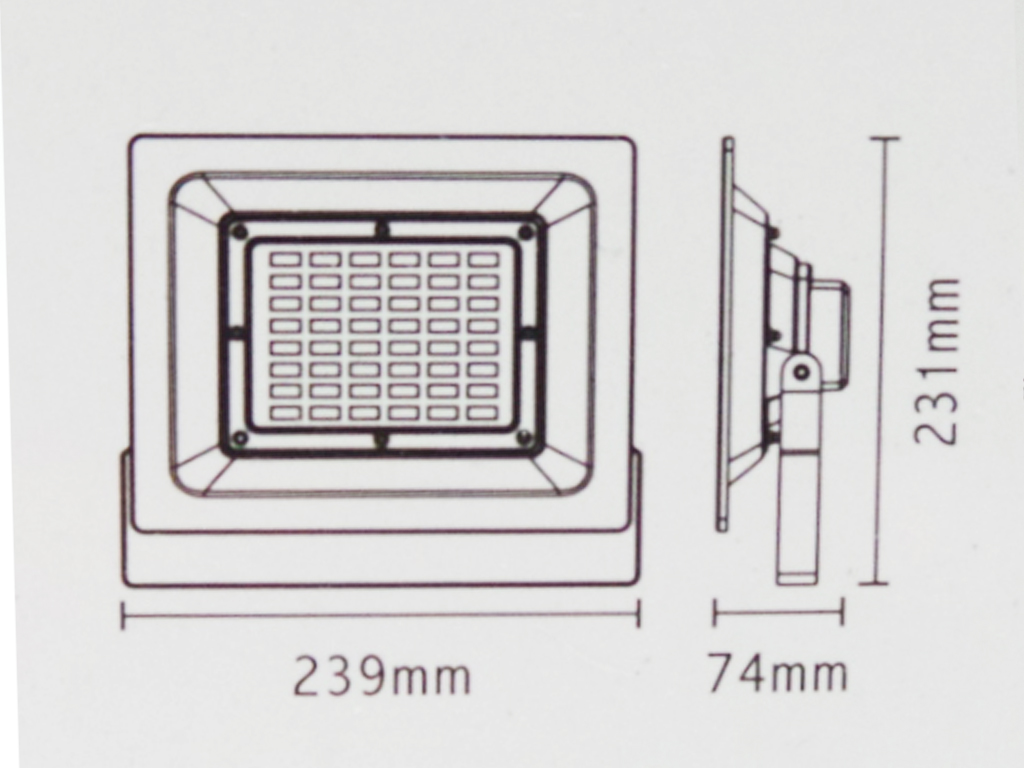 30W Led Floodlight with Black Casing