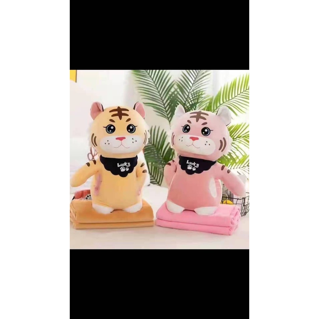 Bộ chăn gối văn phòng ngựa Pony