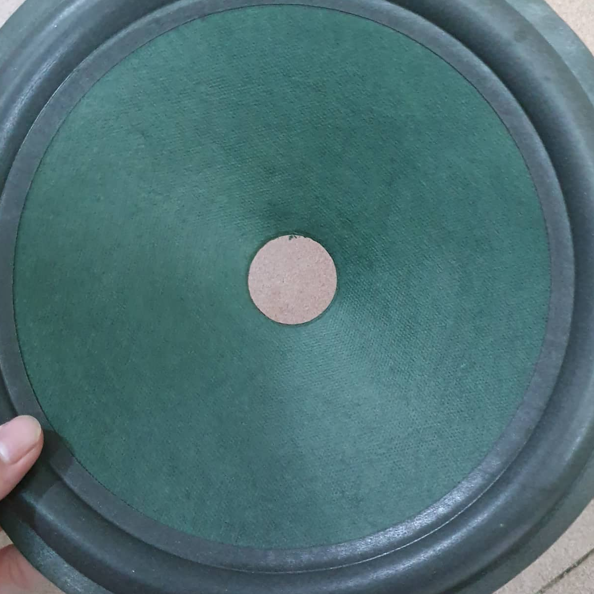 màng loa 25 bô xanh