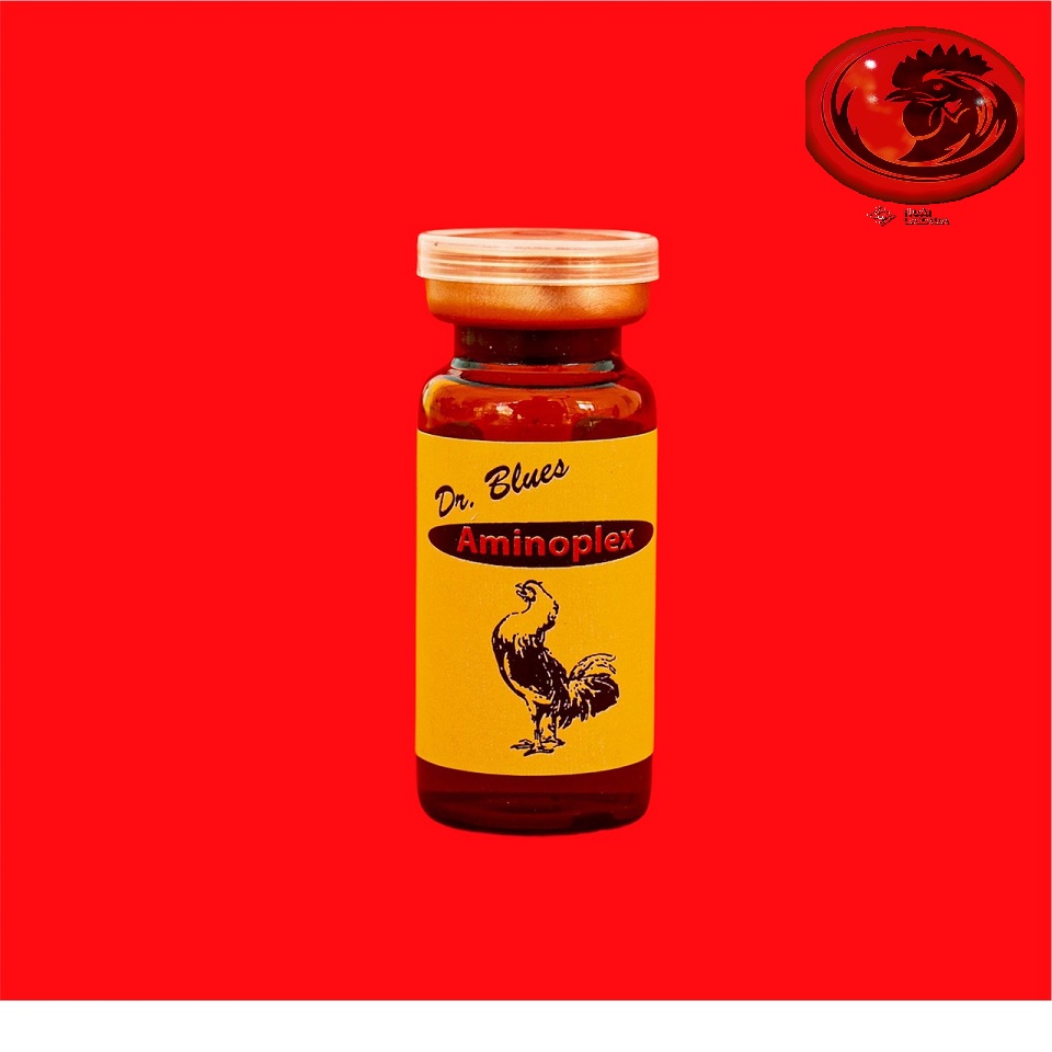 AMINOPLEX BRECO CHÍCH tăng bo, tăng cơ 10ml
