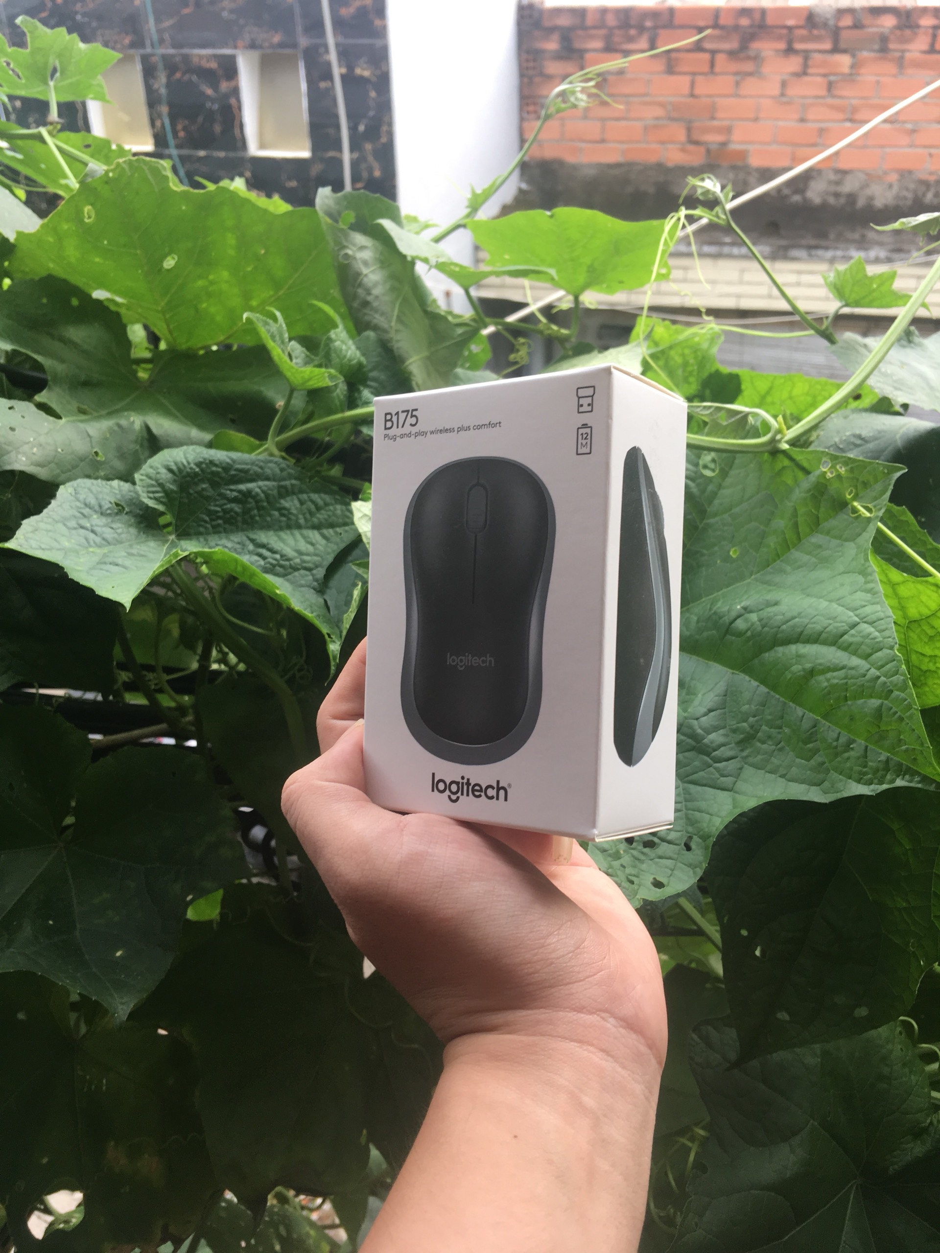 [HCM]Chuột không dây Logitech B175 hàng chính hãng.