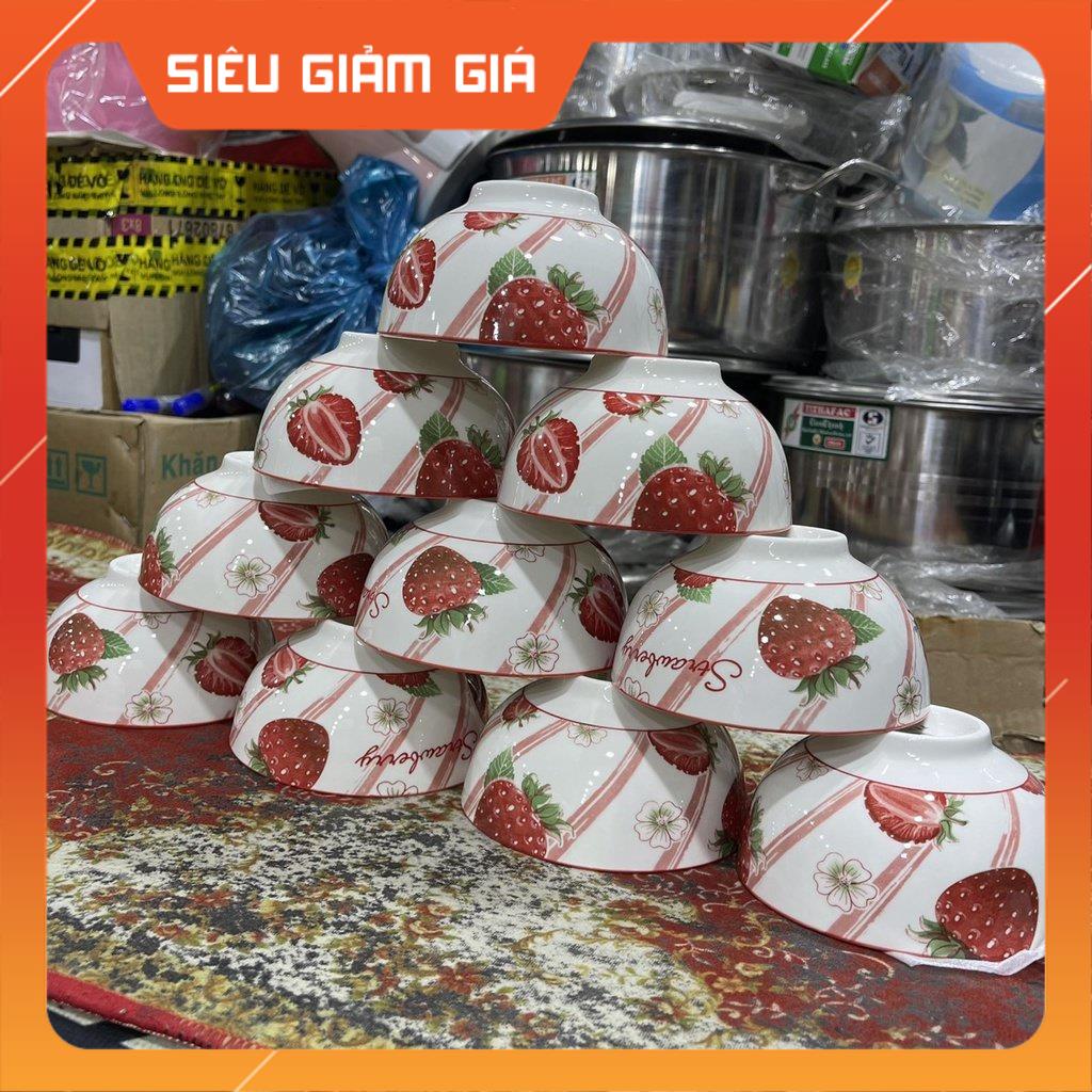 Combo 10 chén sứ / bát ăn cơm cao cấp dùng trong bữa ăn gia đình.