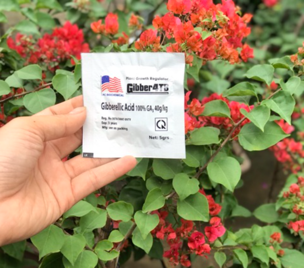Viên kích thích sinh trưởng GA3 5G AA18 AAU
