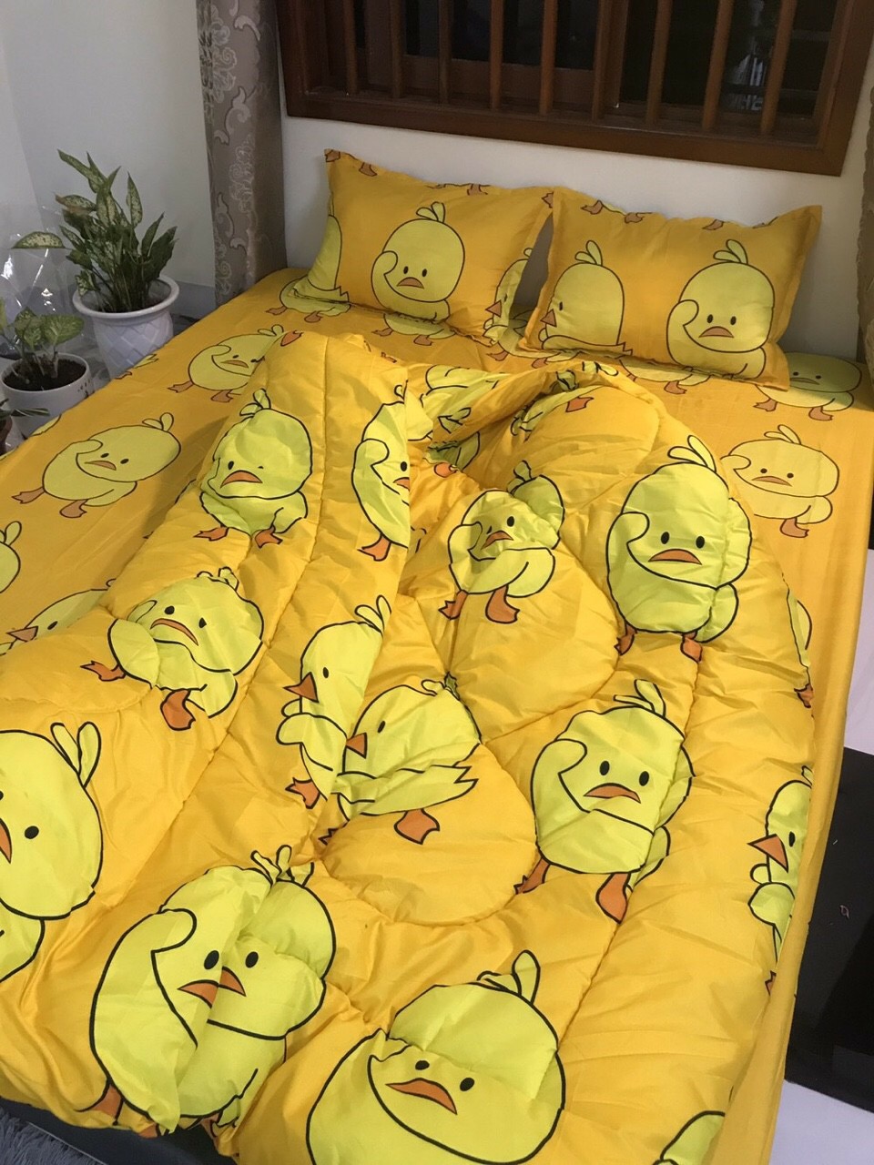 Set 4 Chăn Phao Cotton Poly VỊT VÀNG đáng yêu,dễ thương