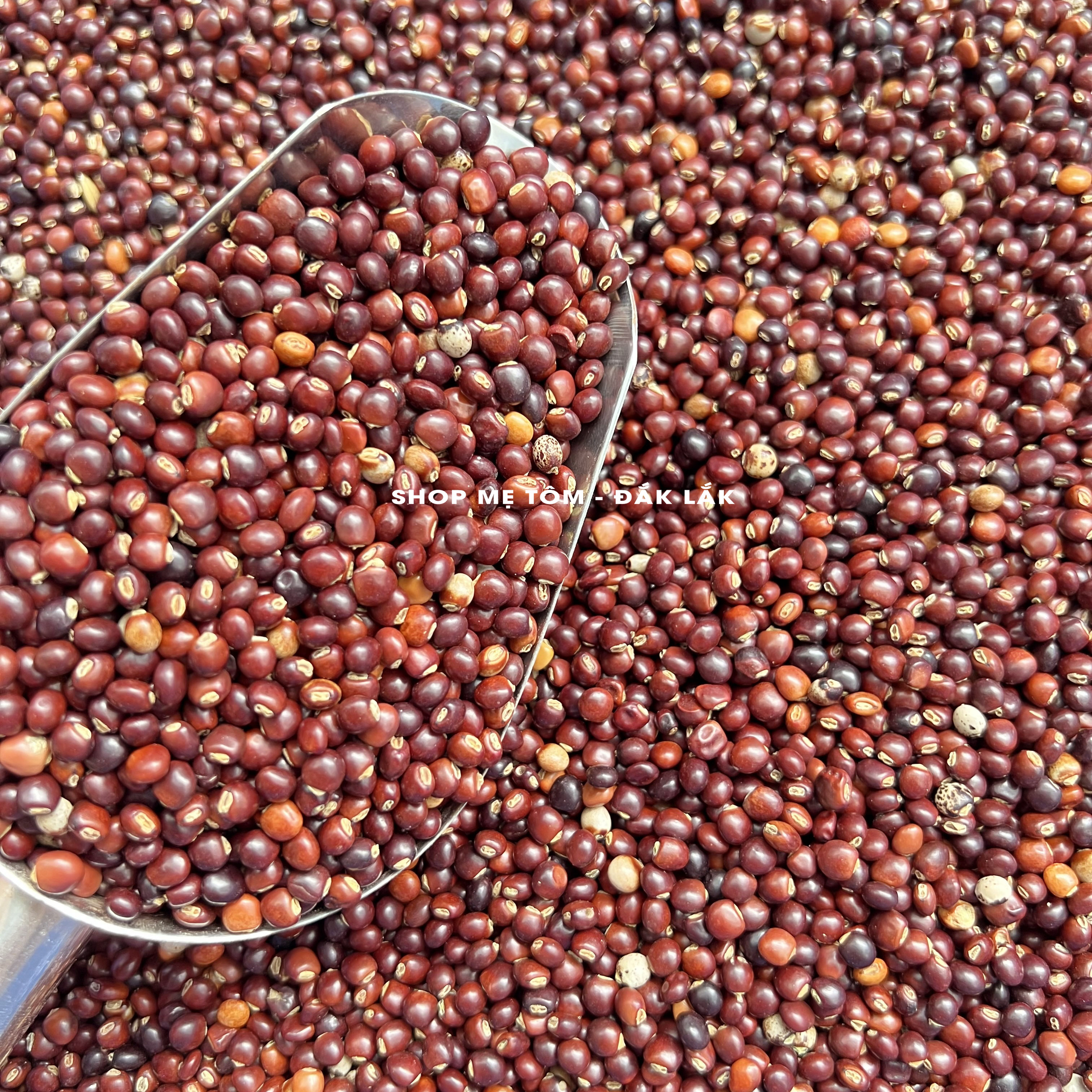 500GRAM ĐẬU SĂNG ĐĂKLĂK (ĐẬU MỘC, ĐẬU CHIỀU...)