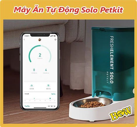 Máy cho ăn tự động Petkit Solo