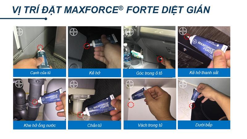Gel diệt Gián đức Maxforce 20 gam - Đức