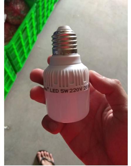 bóng đèn led Linh Phi 5W