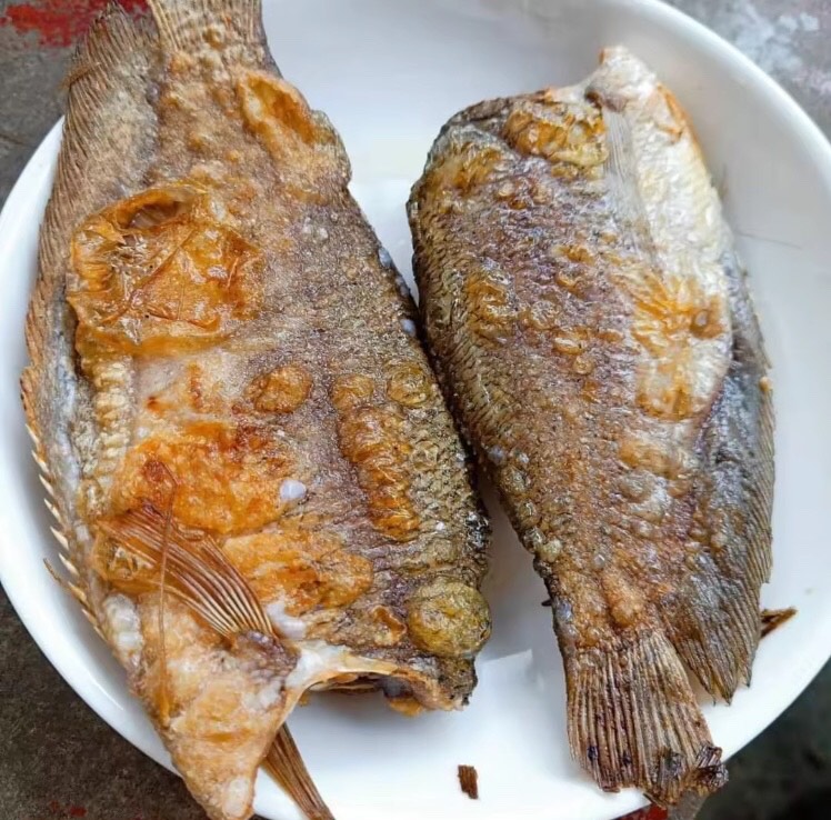 KHÔ CÁ SẶC RẰN( SẶC BỔI) ĐÃ BỎ ĐẦU ĐẶC SẢN CÀ MAU