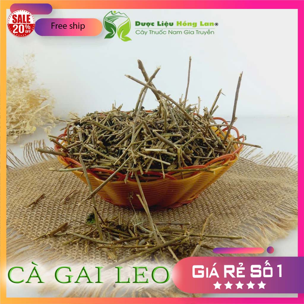 [FreeshipMAX] [HCM]Cây Cà Gai Leo khô 1kg