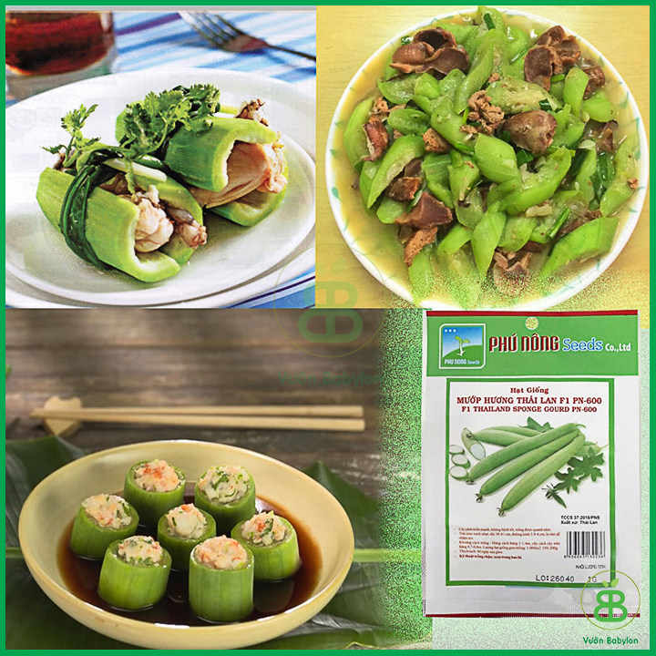 Hạt Giống Mướp Hương Thái Lan Siêu Dài
