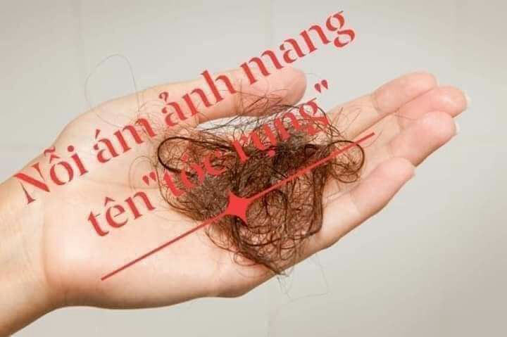 Dầu gội Thảo Dược Tóc X2  Lan Chi