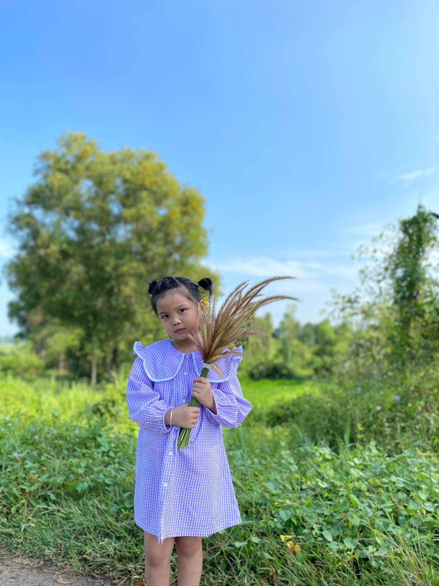 Đầm karo