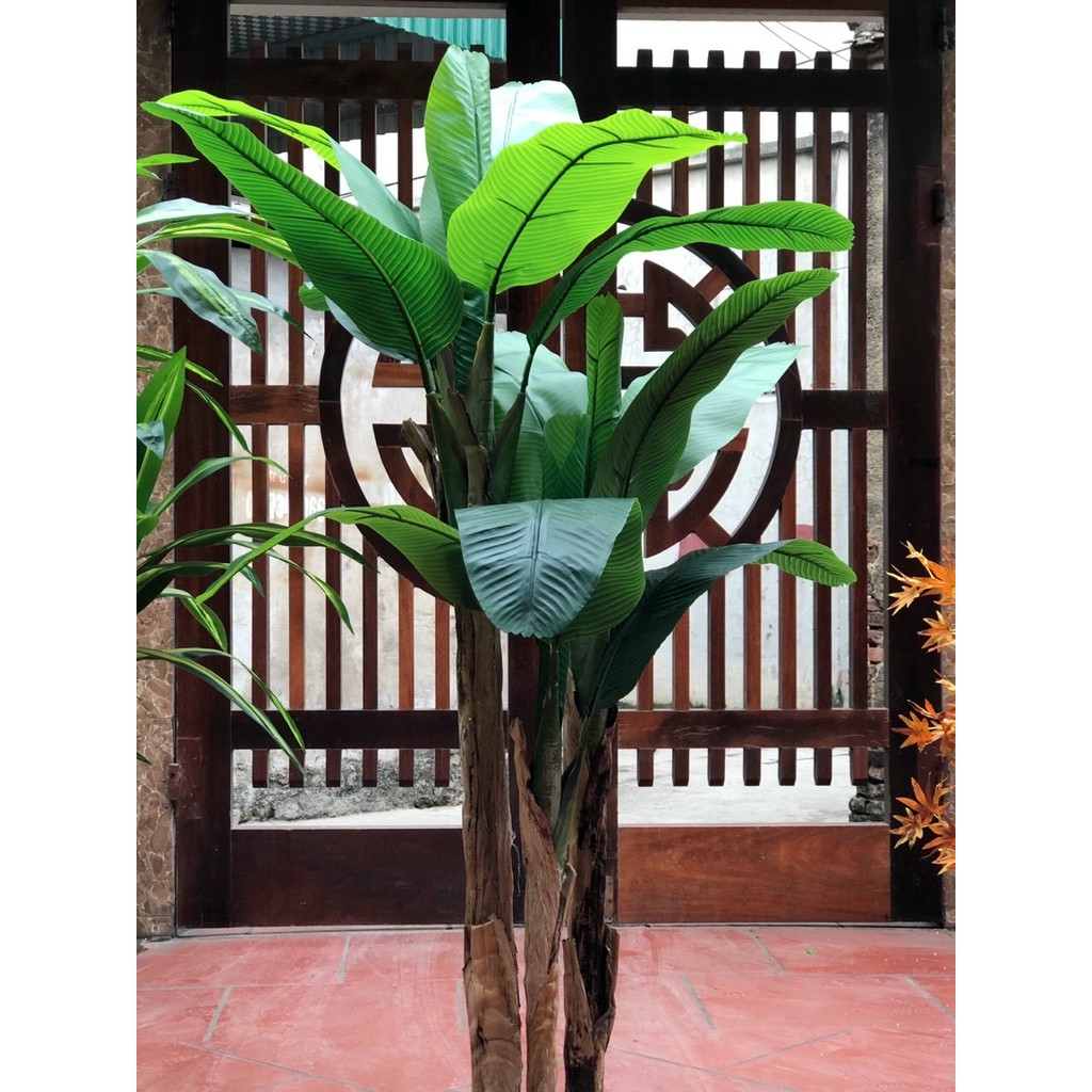 Cây Giả Cây Chuối Quê Giả Cao 1,6M
