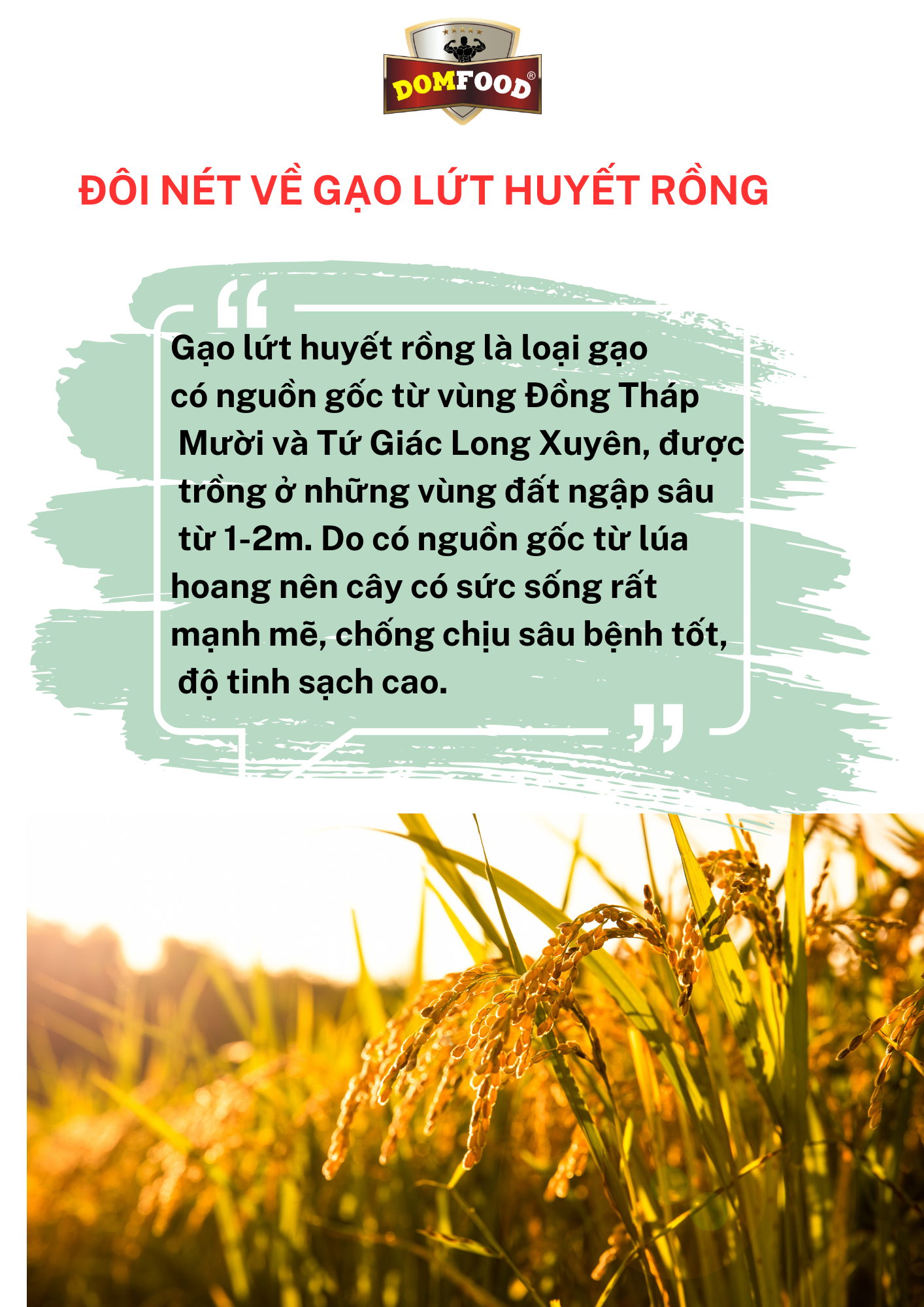 Bột gạo lức giảm cân thực dưỡng ( túi 01 kg)