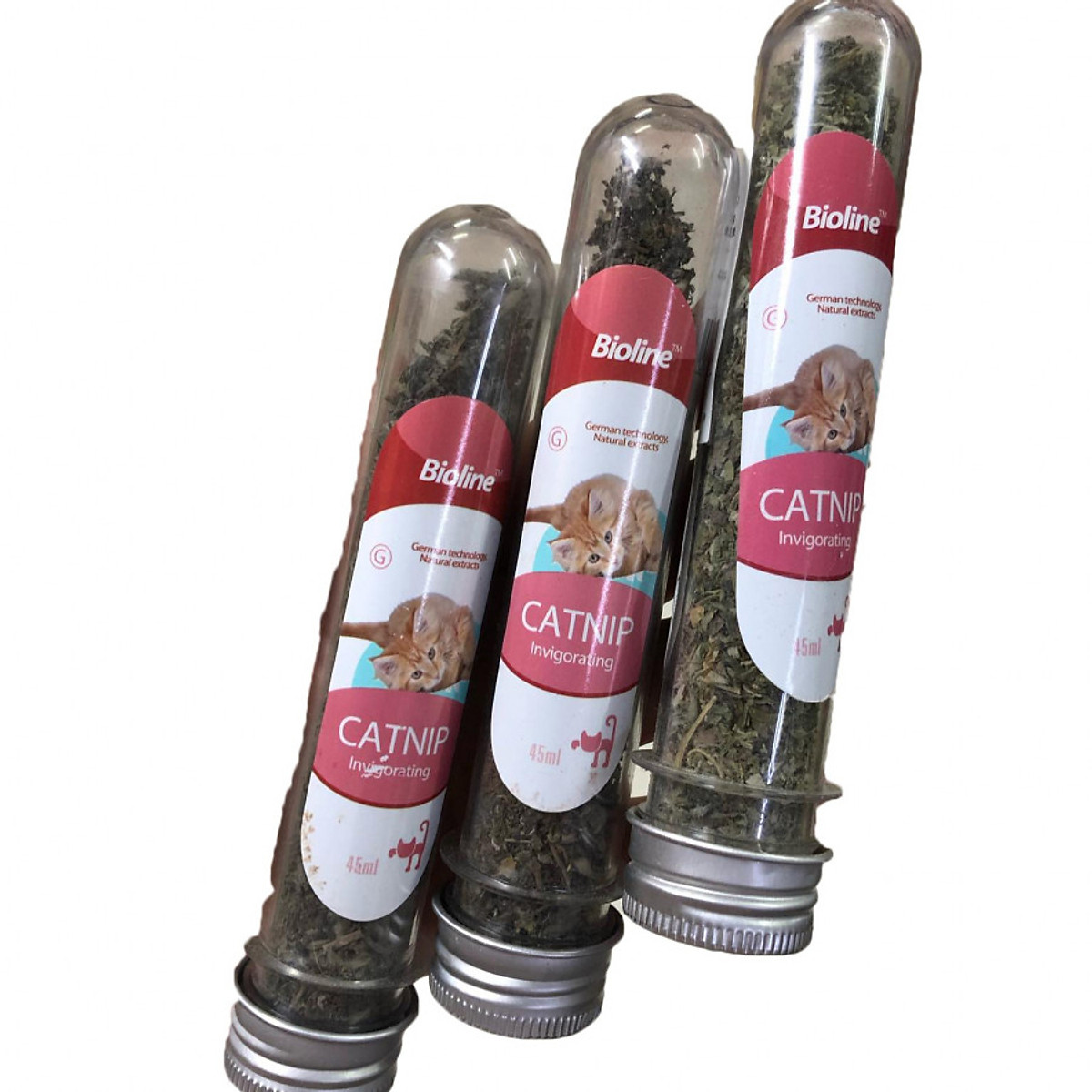 CATNIP KHÔ CHO MÈO (BẠC HÀ MÈO)