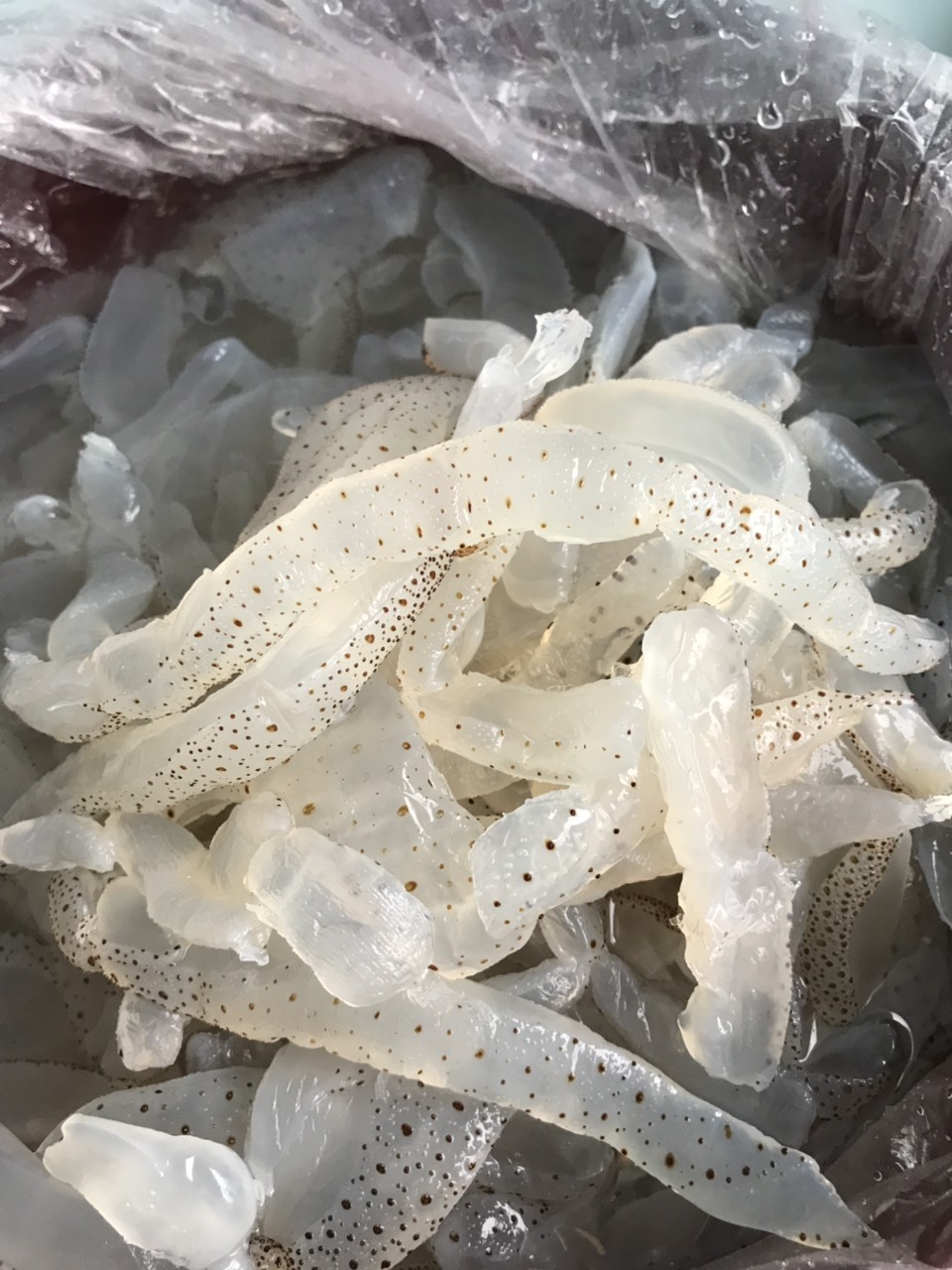 sứa biển ăn liền 1kg