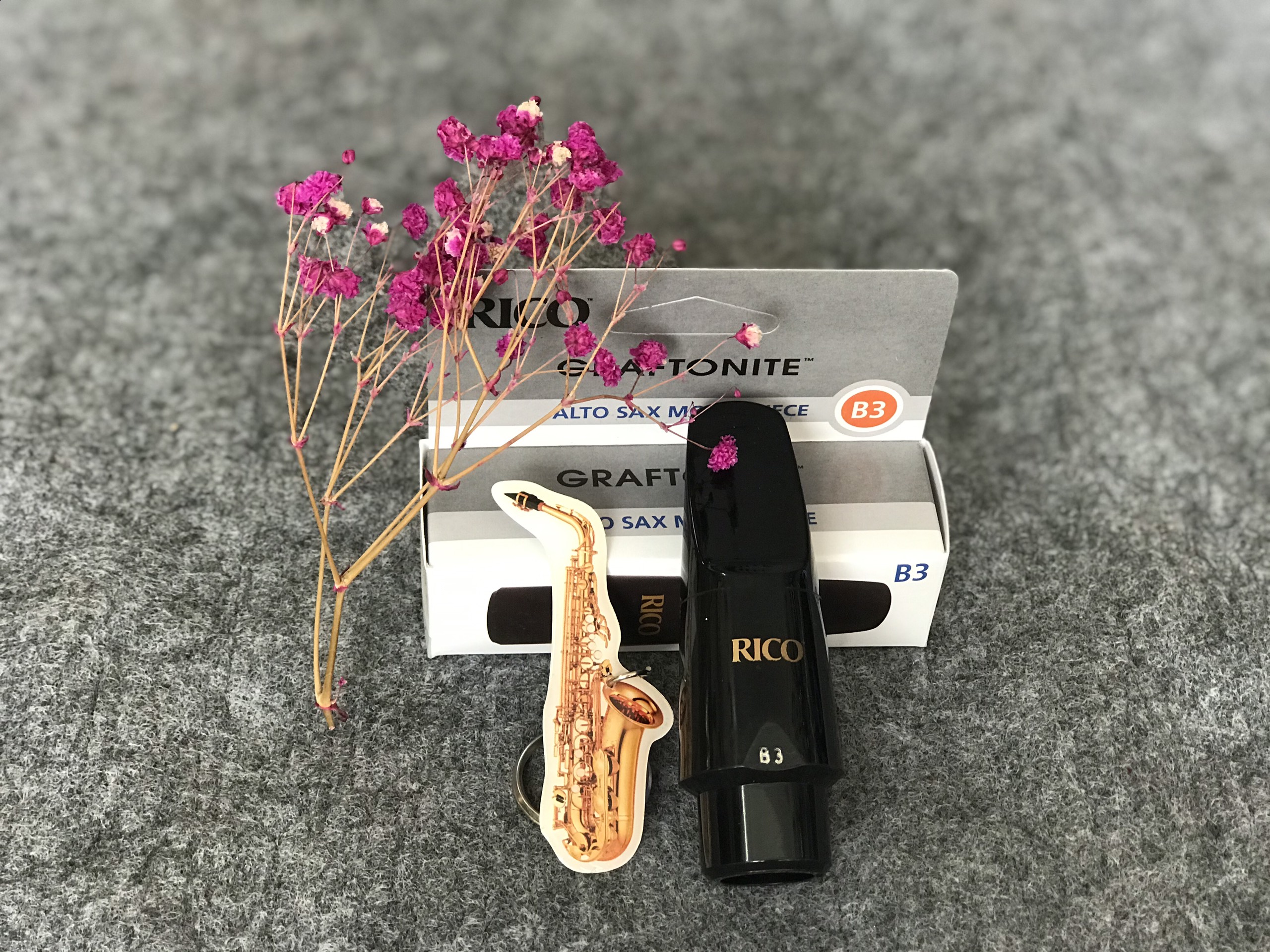 Bec Kèn Saxophone Alto Rico B3