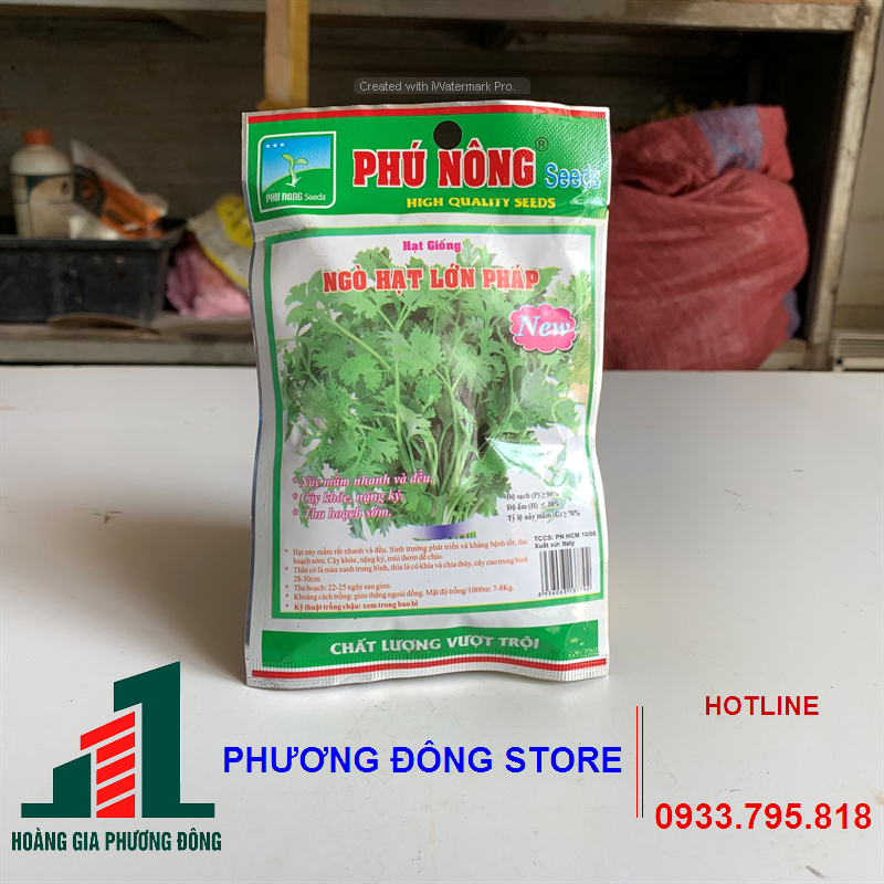 Hạt giống ngò hạt lớn 20g
