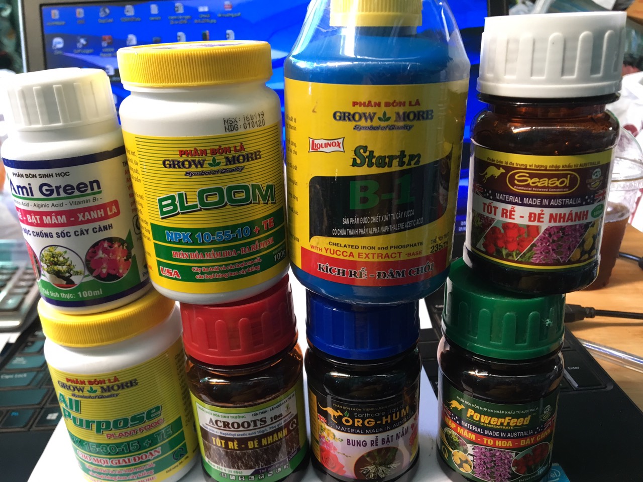 Combo 08 lọ phân bón chăm sóc hoa lan