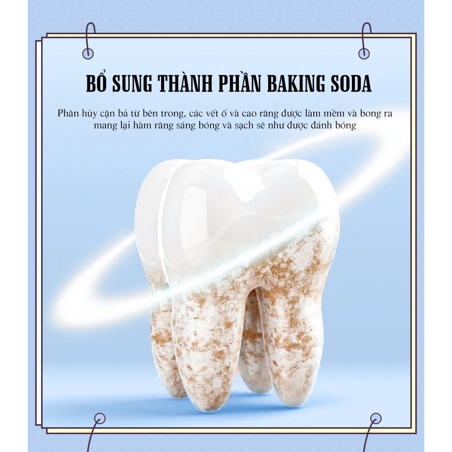 Kem Đánh Răng Fresh Toothpaste Nhật Bản - KDR Fresh Toothpaste Trắng Răng Giảm Vết Ố Vàng Răng Giữ Hơi Thở Thơm Mát