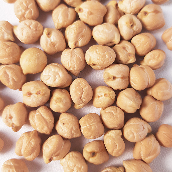 Đậu Gà Mỹ Túi 0.5 kg