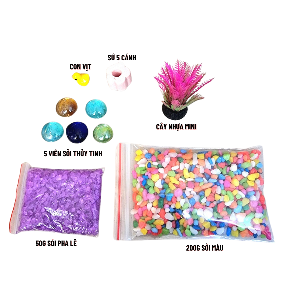 Bộ trang trí bể cá mini SỎI PHA LÊ cho bể cá mini dưới 15cm