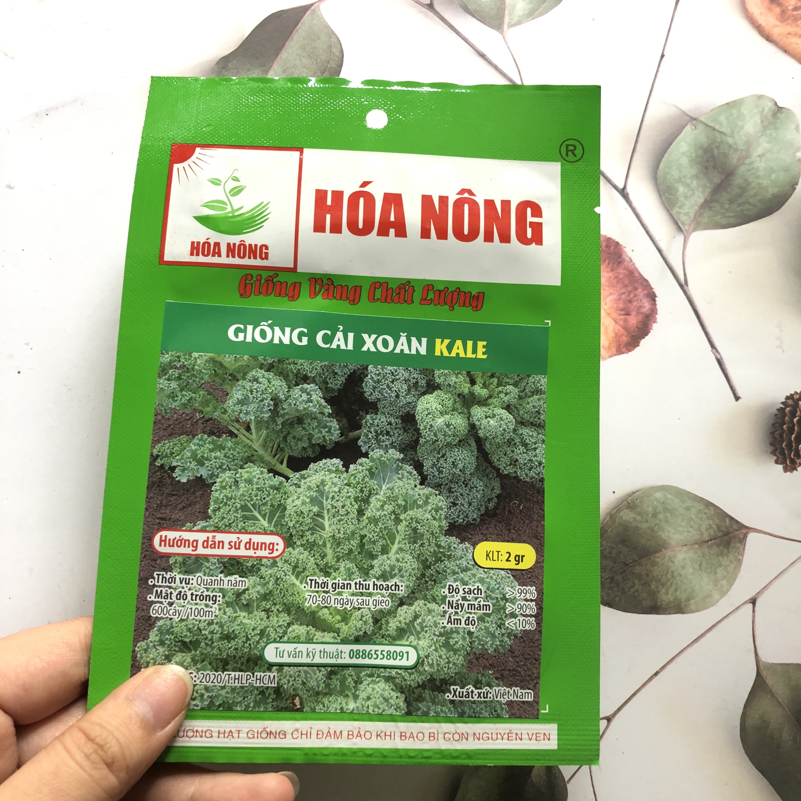 [HCM]Hạt giống cải xoăn KALE HN gói 2gr