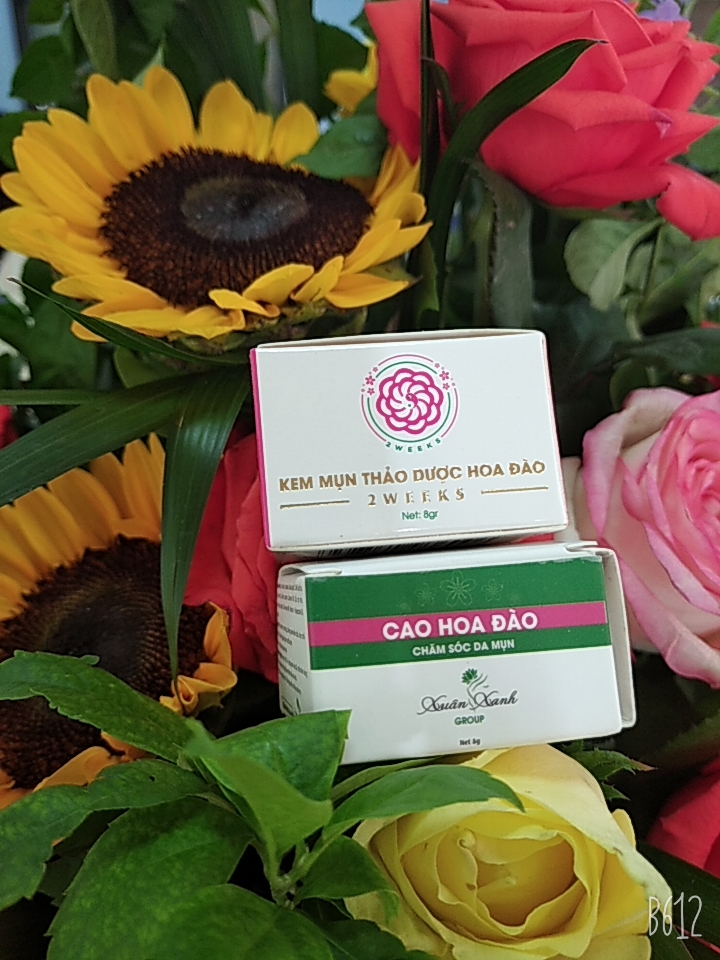 Combo 05 hộp Kem mụn Cao Hoa Đào