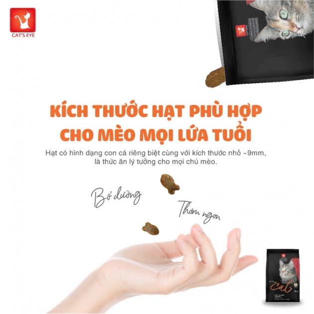 [HỎA TỐC / DATE MỚI ] [1.5KG/COMBO] Cat's Eye - Thức ăn hạt cho mèo mọi lứa tuổi