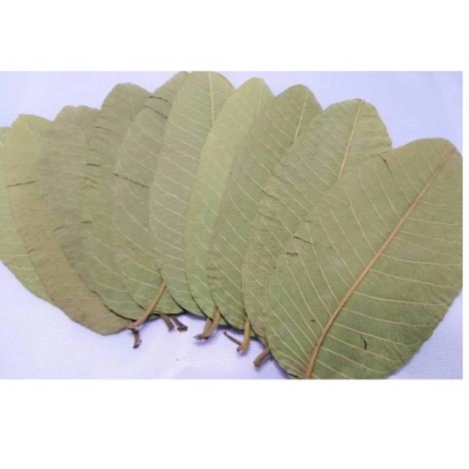 500gr Trà lá ổi khô ( lá ổi khô) thơm ngon chuân xịn
