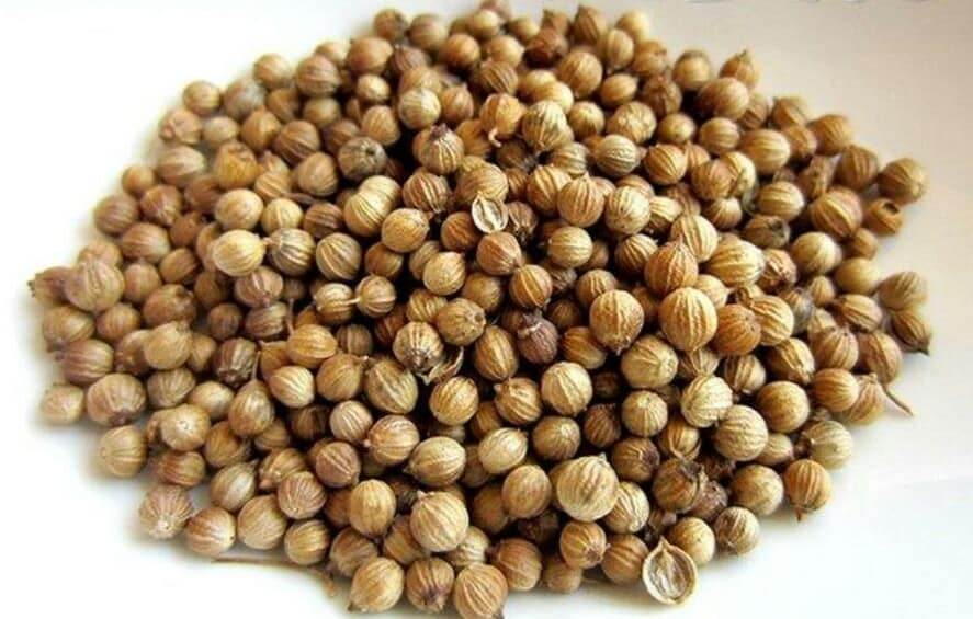 [100g-500g] Hạt ngò / Hạt mùi khô thơm loại 1 - Sỉ giá tốt