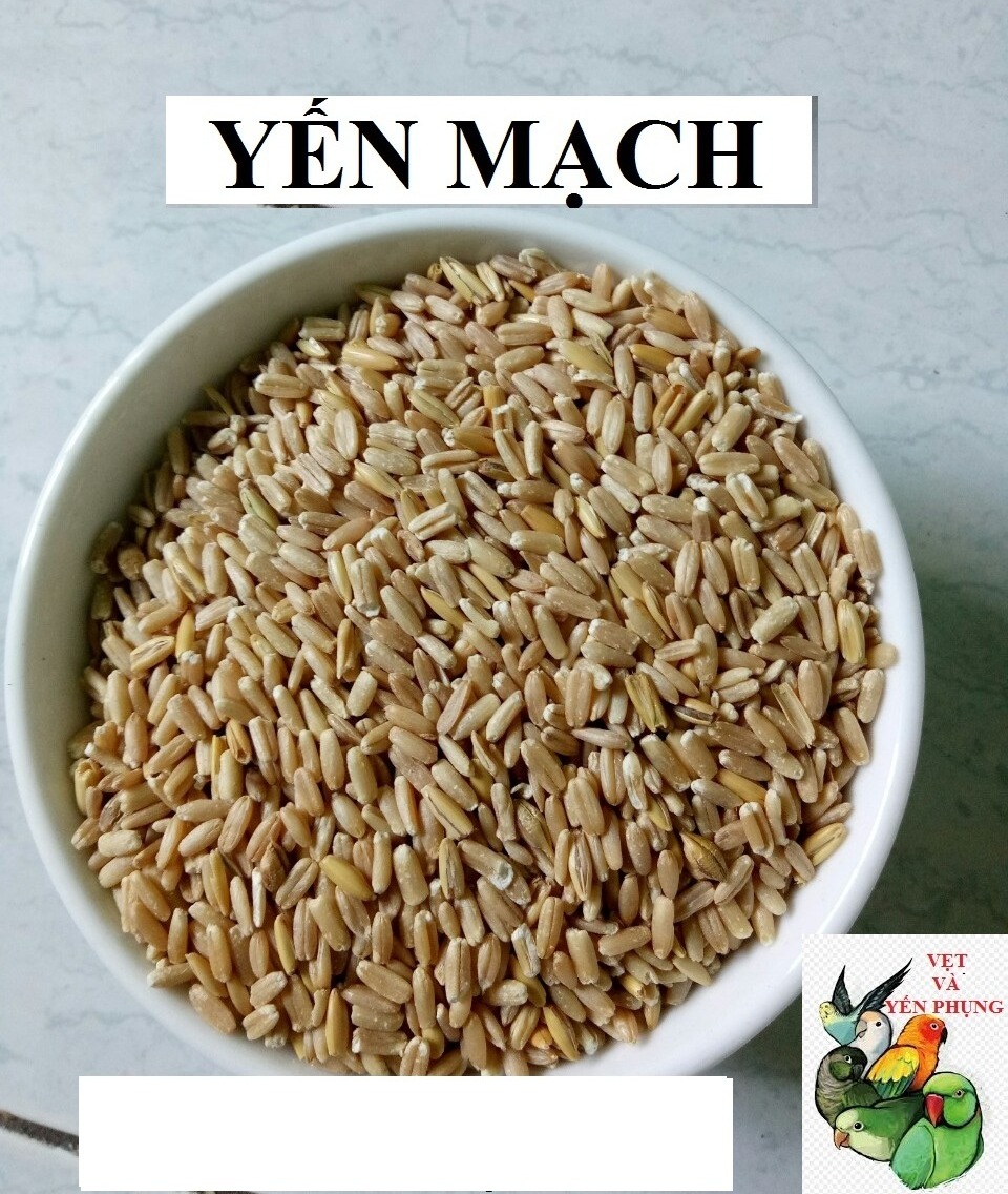 1KG HẠT YẾN MẠCH ĐÃ BÓC VỎ CHO VẸT, CHIM VA THÚ CƯNG