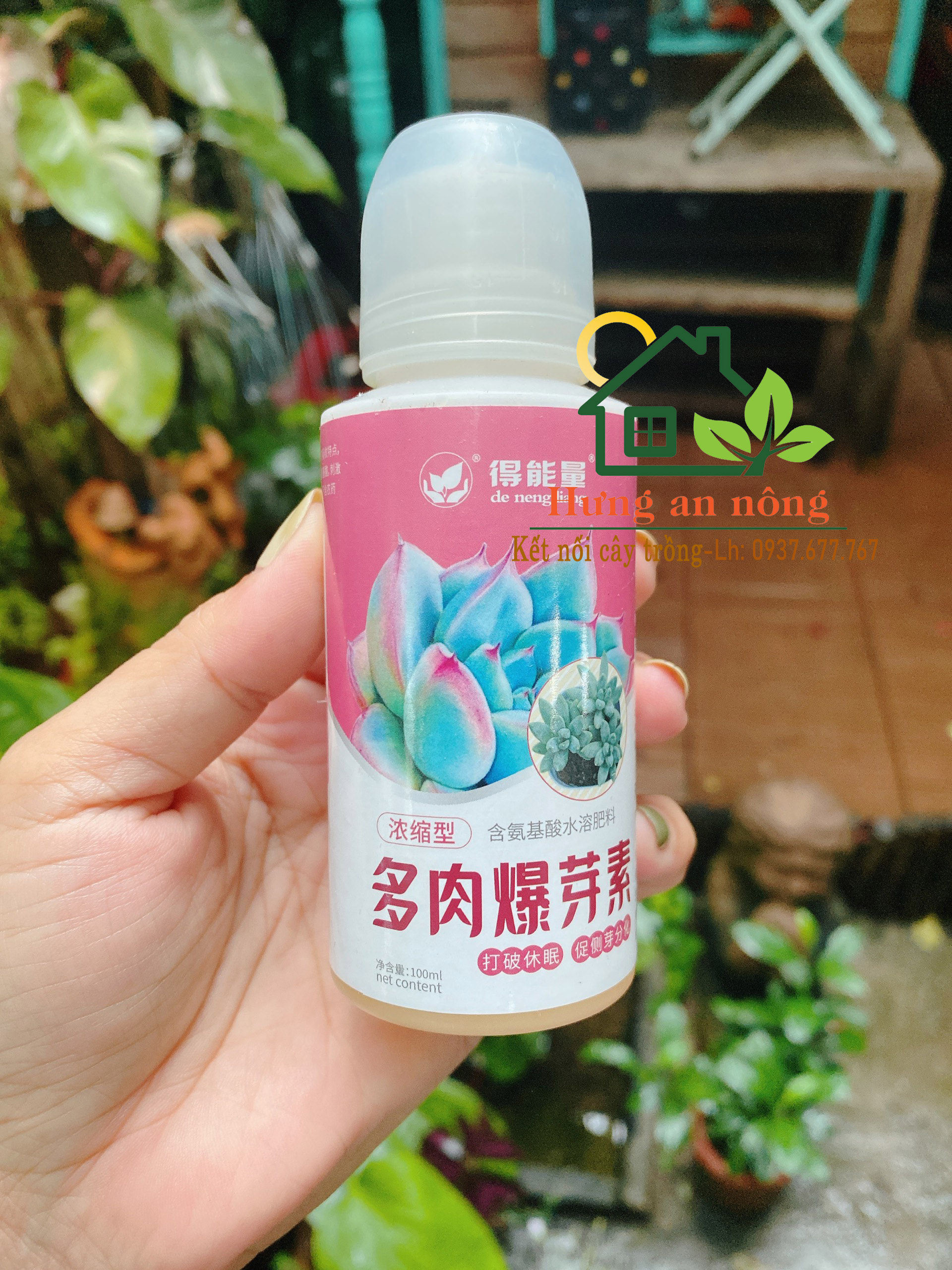 Phân bón De Neng Liang - Kích chồi lá - chuyên dùng cho sen đá, xương rồng cây mọng nước chai 100ml.