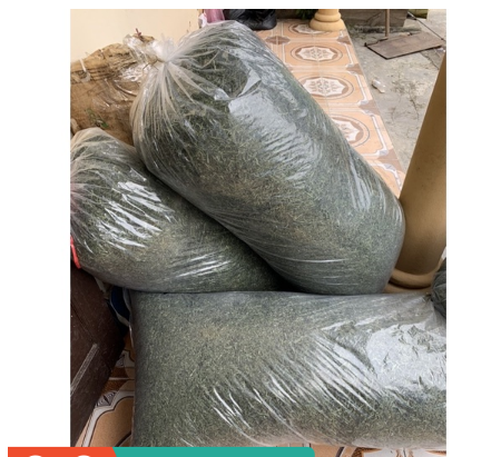 500gr lá đắng khô tốt cho dạ dày