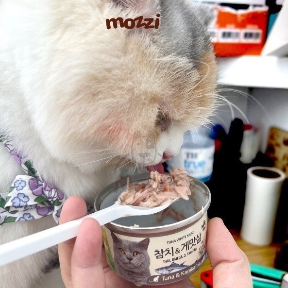 Pate for Cats White Tuna Meat Meowow Can 80Gr