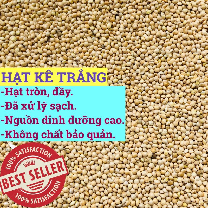 1KG HẠT KÊ TRẮNG CHO CHIM CẢNH, vẹt, finches....