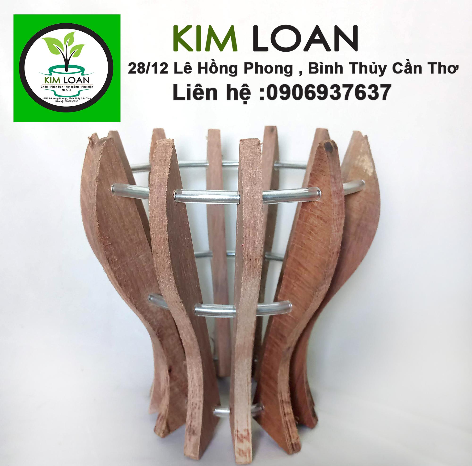 Combo 2 chậu lan gỗ hình ly 18x18cm