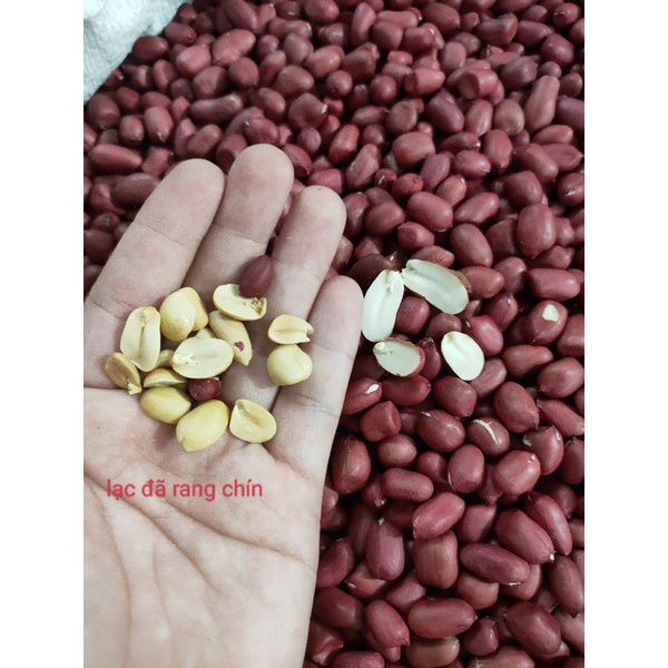 [HCM]Lạc đỏ/ đậu phộng đỏ - 250gr - lạc sống
