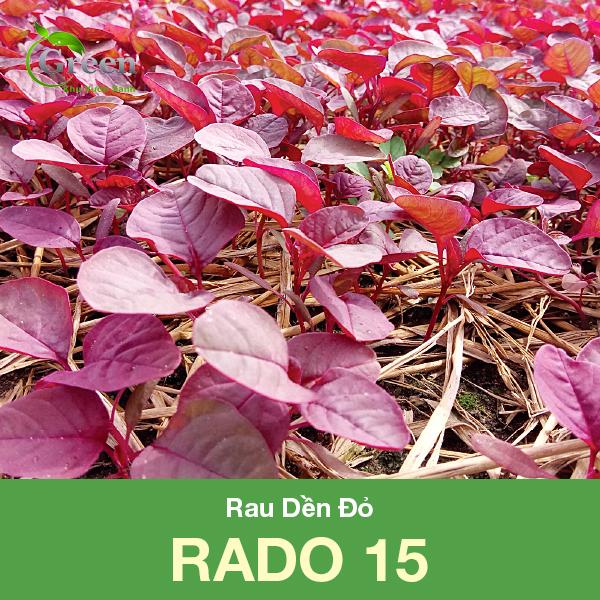 Hạt Giống Rau Dền Đỏ Gói 20 Gam