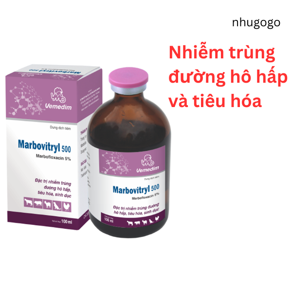 Marbovitryl 100ml viêm hô hấp