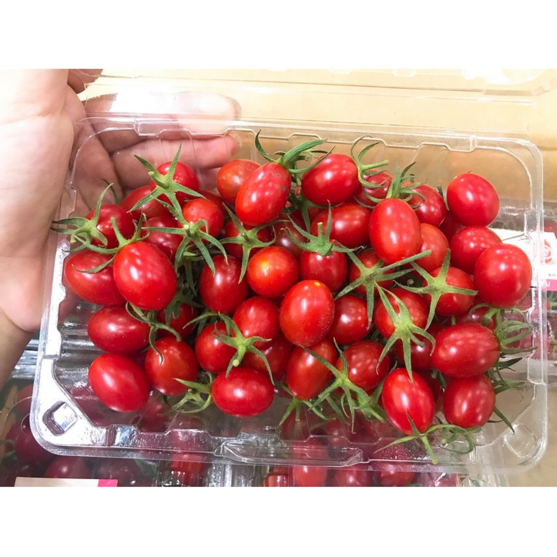 20 Hạt giống Cà chua chery đỏ (tặng Kích nẩy mầm, Hướng dẫn ươm)
