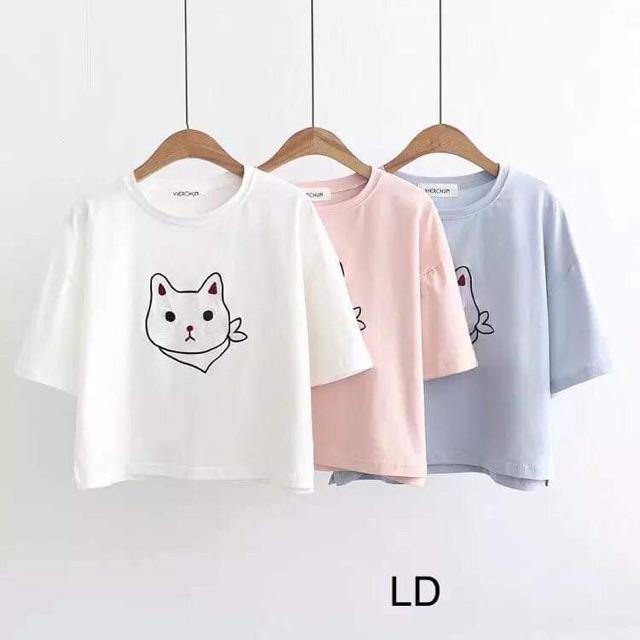 Áo phông mèo đeo khăn cổ ldu0619
