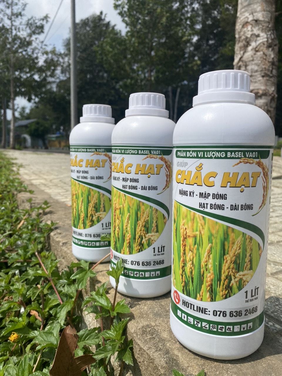 Phân bón chắc hạt chuyên lúa 1 lít- GIÚP LÚA CHẮC HẠT, NẶNG KÍ, SIÊU TO HẠT