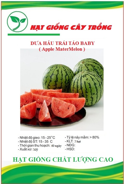 Hạt giống dưa hấu baby táo - Gói 5 hạt