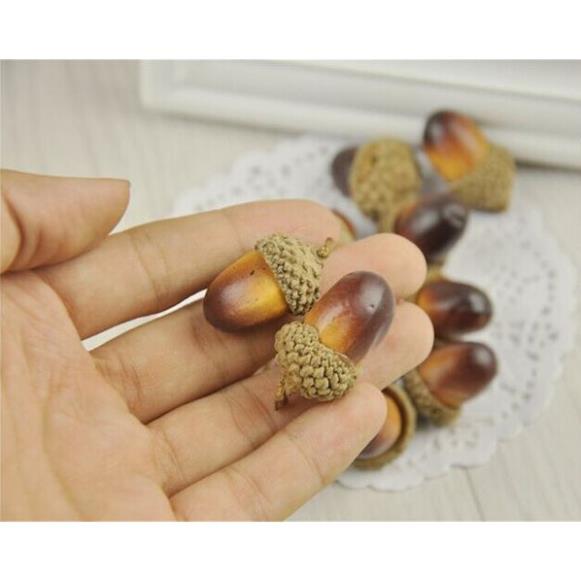 Hạt sồi khô đạo cụ chụp ảnh sản phẩm