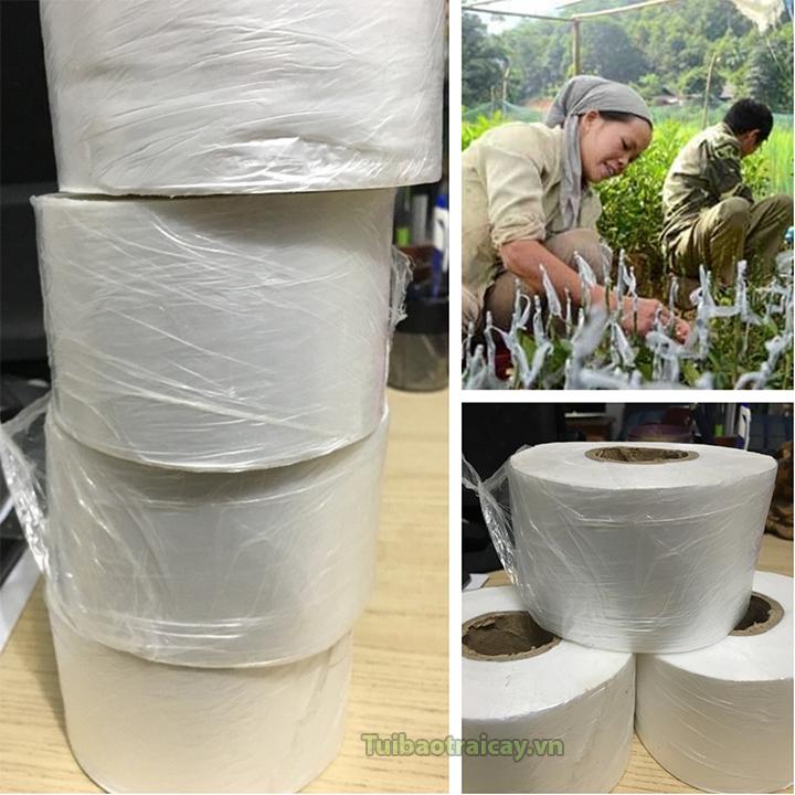 Cuộn băng ghép cây tự hủy khổ 8cm