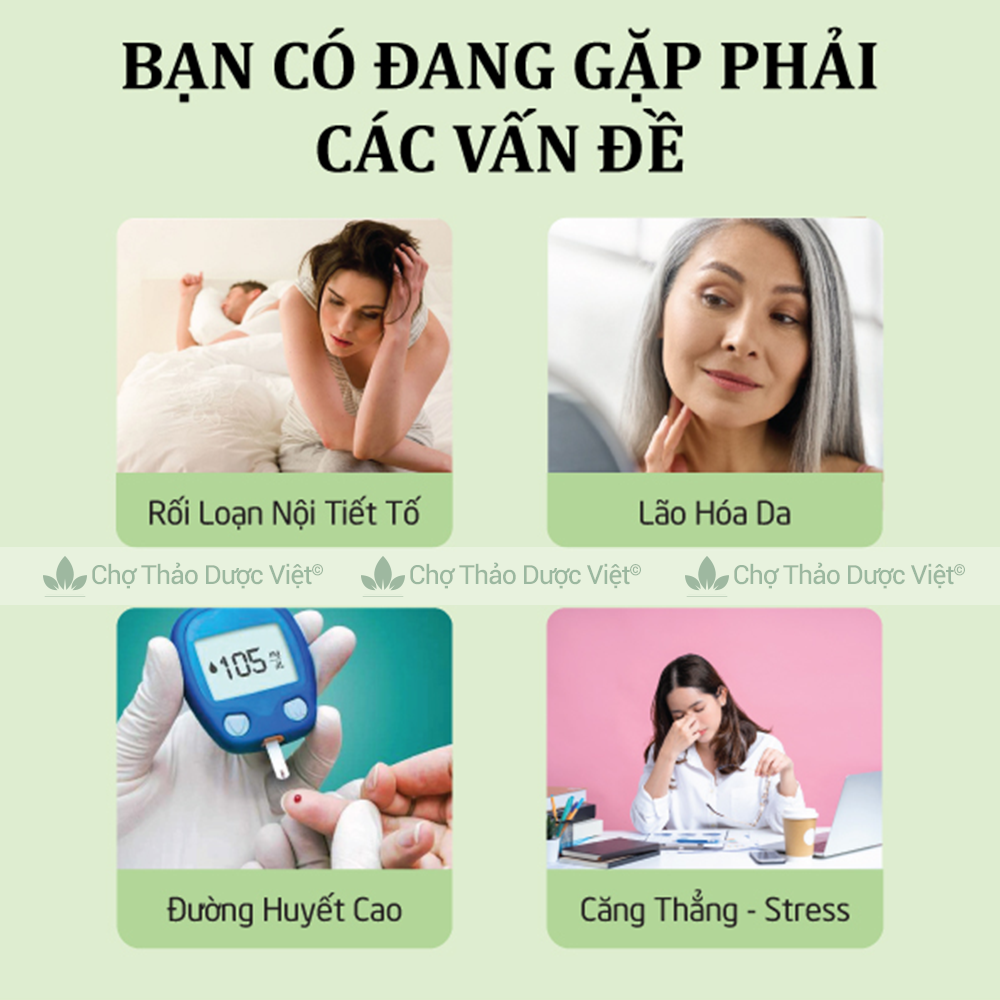 Set 5-10 gói trà mộc quế hoa (Trà hoa mộc, dưỡng nhan, thanh lọc cơ thể)