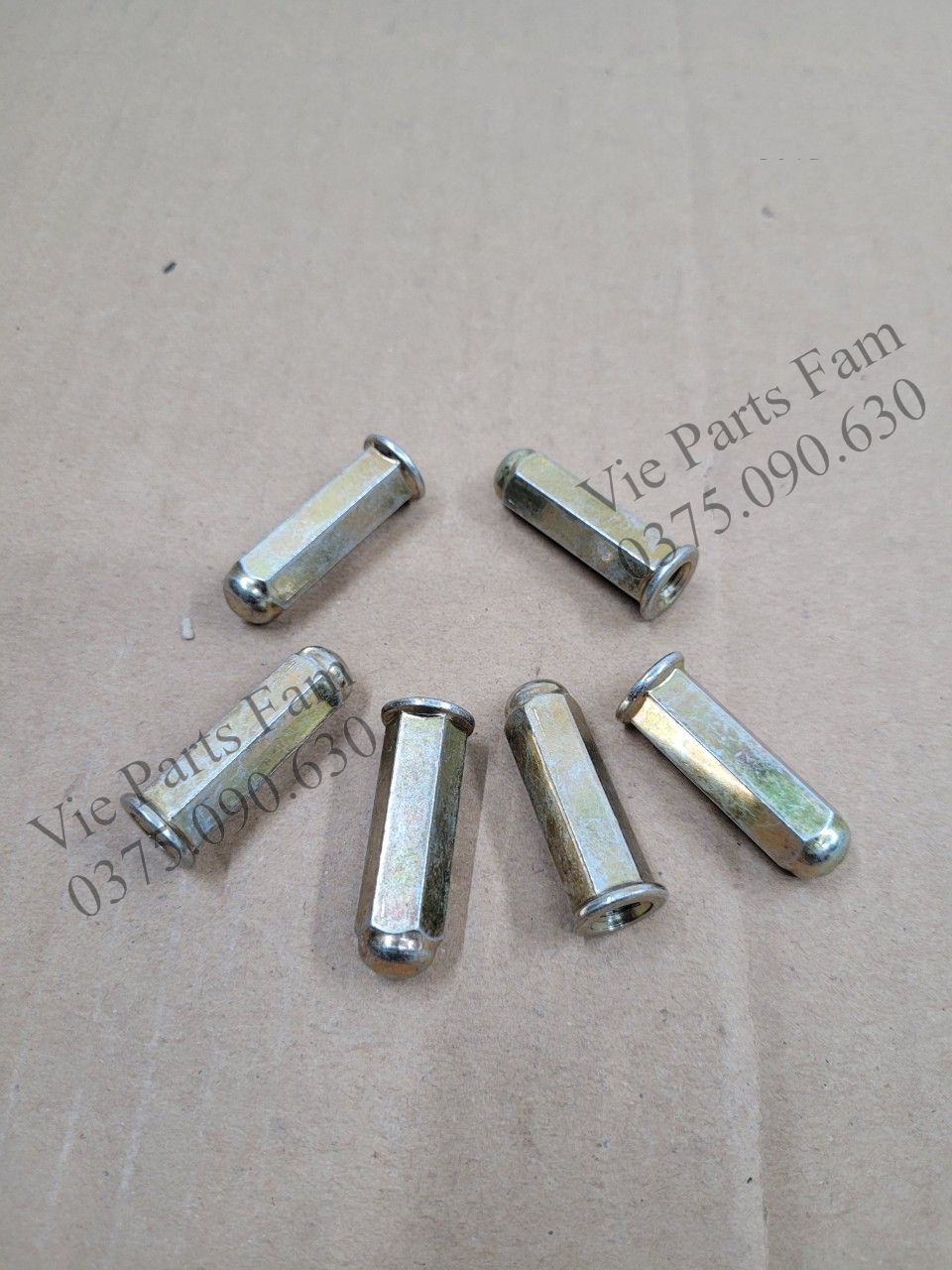 Ốc cổ bô Attila SYM (giá 1 con)